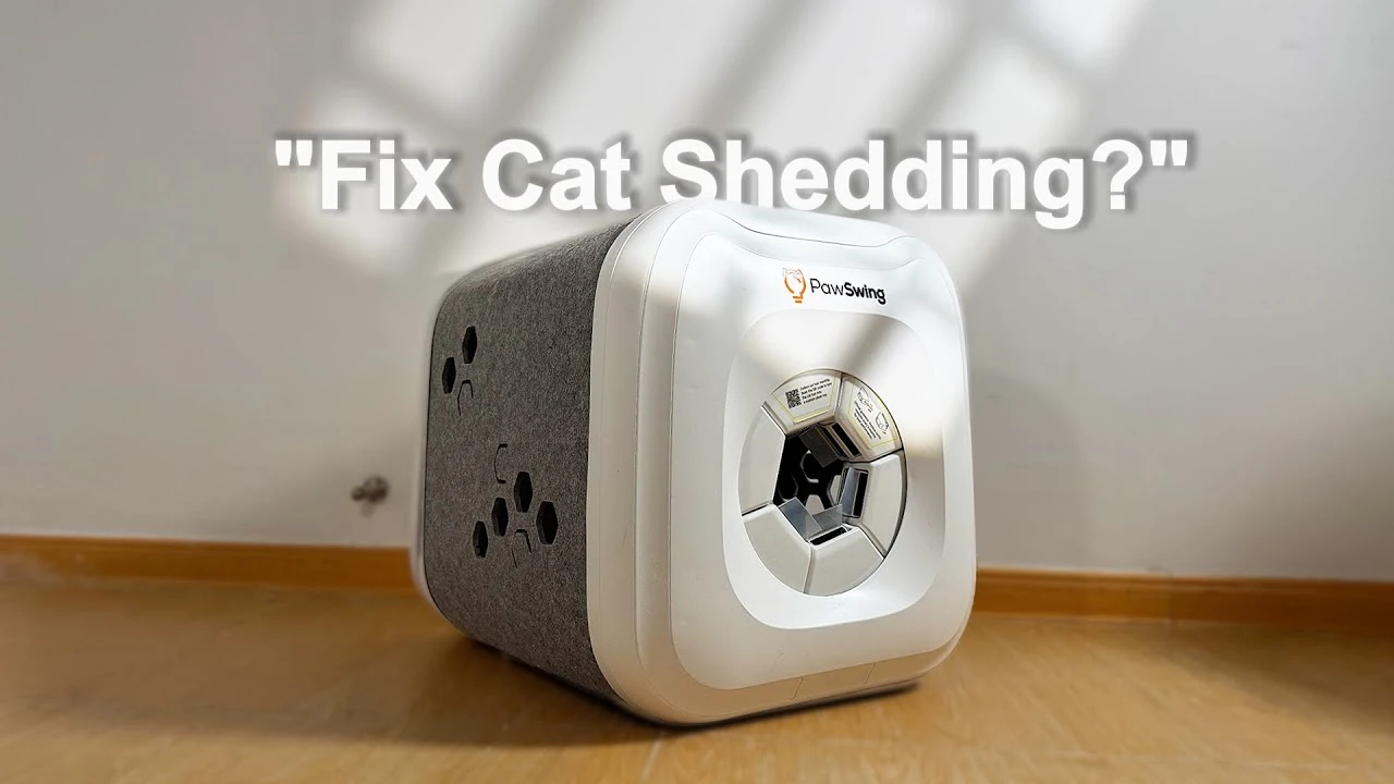PawSwing Neo: A Self-Grooming Box for Cats… Does It Actually Work?