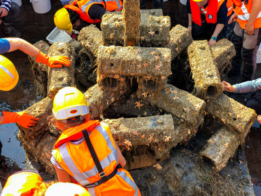 Jane Doe Marlies ter Voorde