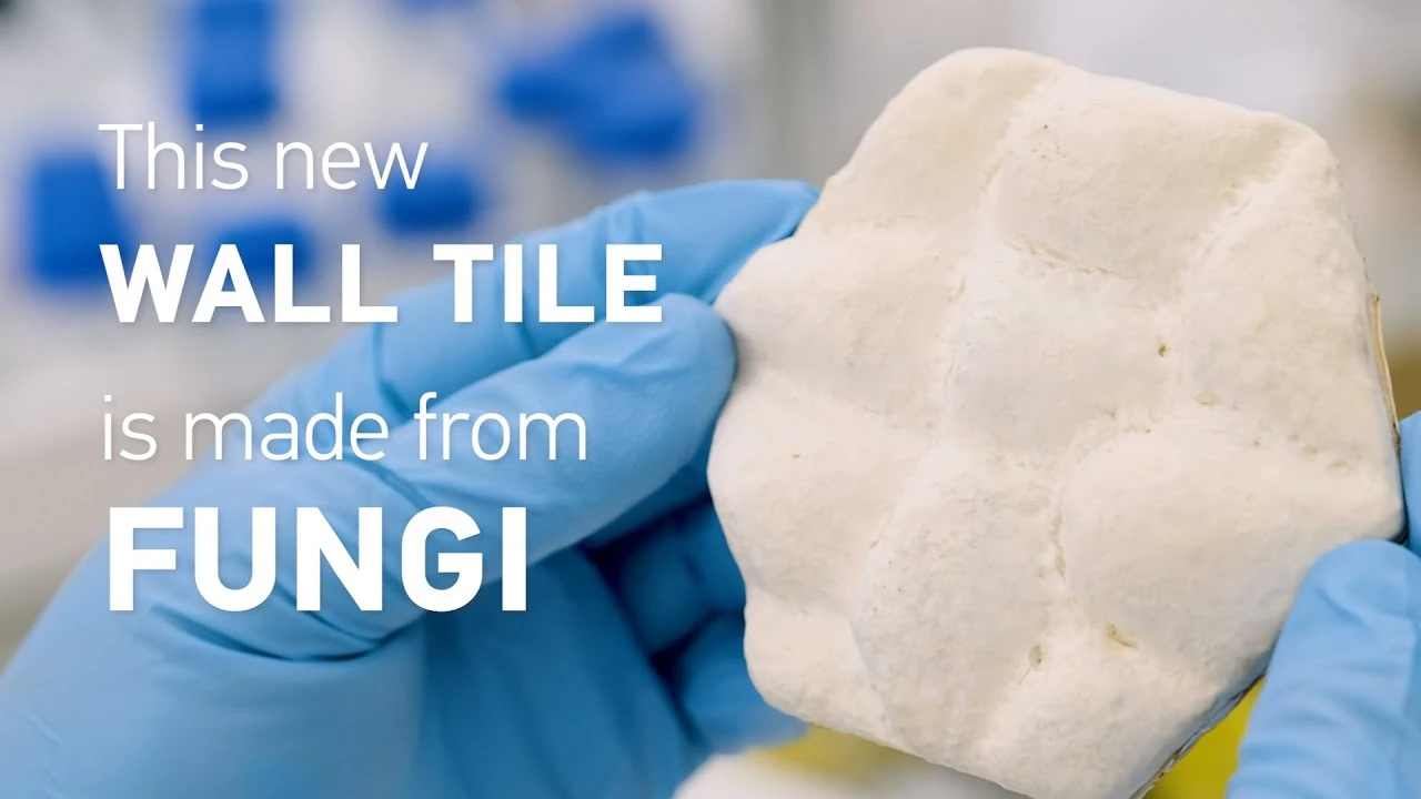 This new wall tile made from fungi cools buildings