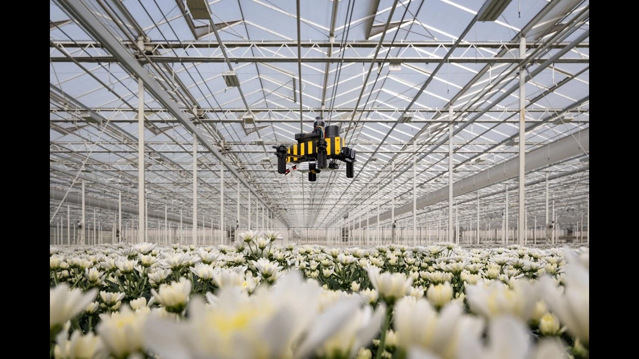Bee-Nav: Efficient robot navigation inspired by honeybee learning flights