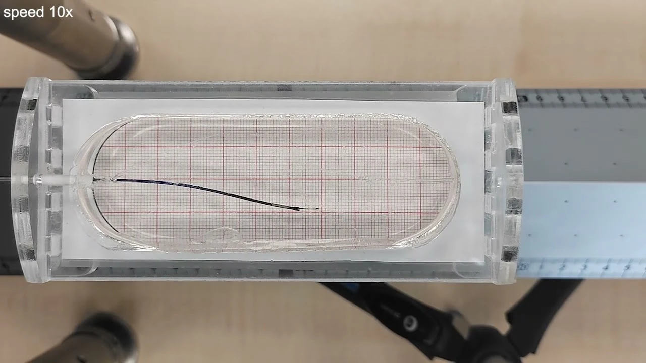 Preciezer prikken dankzij de wesp
