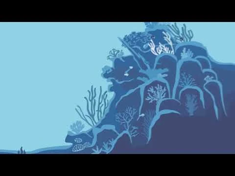 What we do at Coastruction | 3D printed artificial reefs