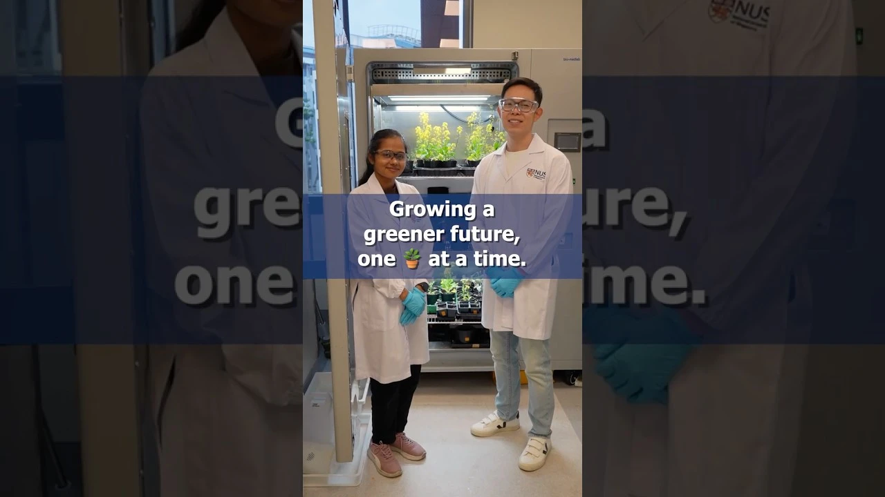 Microneedles boost plant growth, delivering biofertilisers directly into plant tissue