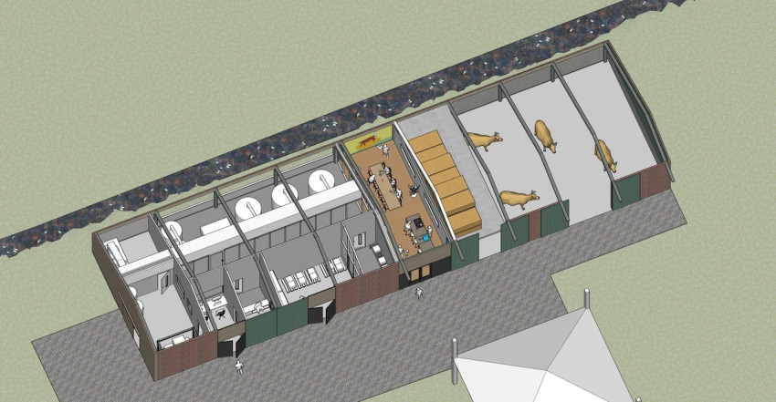 Jane Doe Marlies ter Voorde