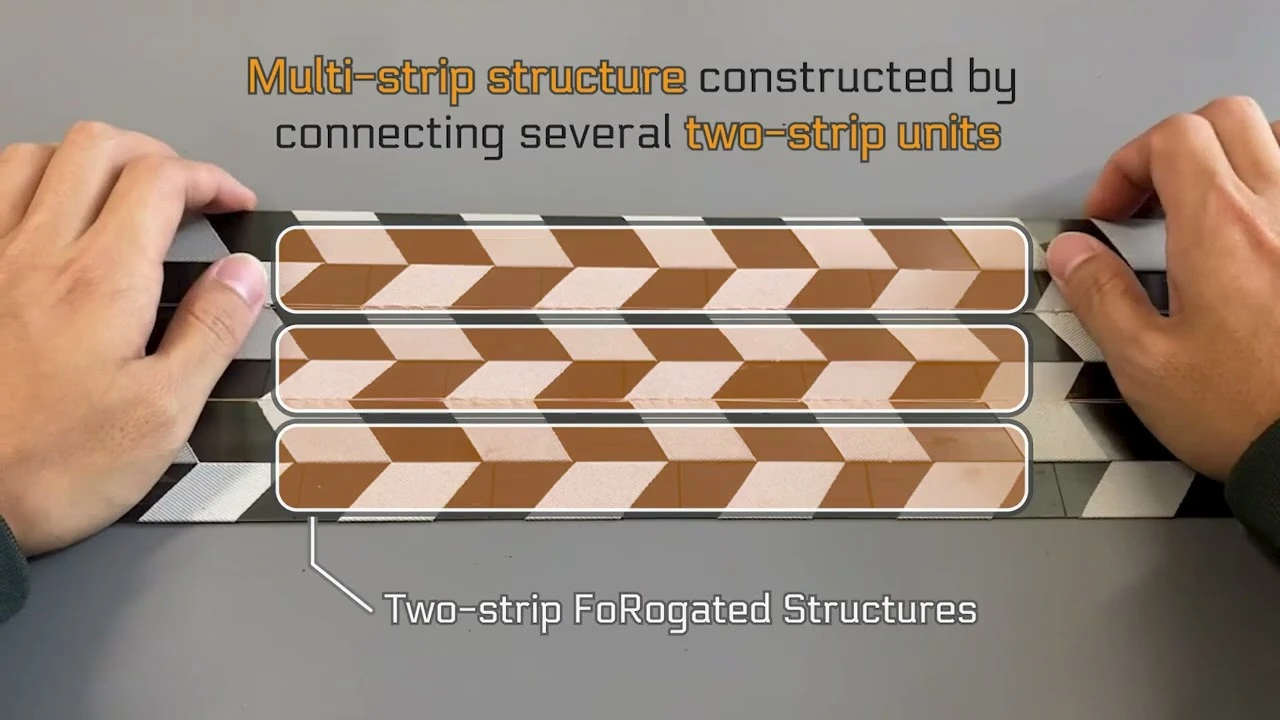 Foldable and Rollable Interlaced Structure for Deployable Robotic System