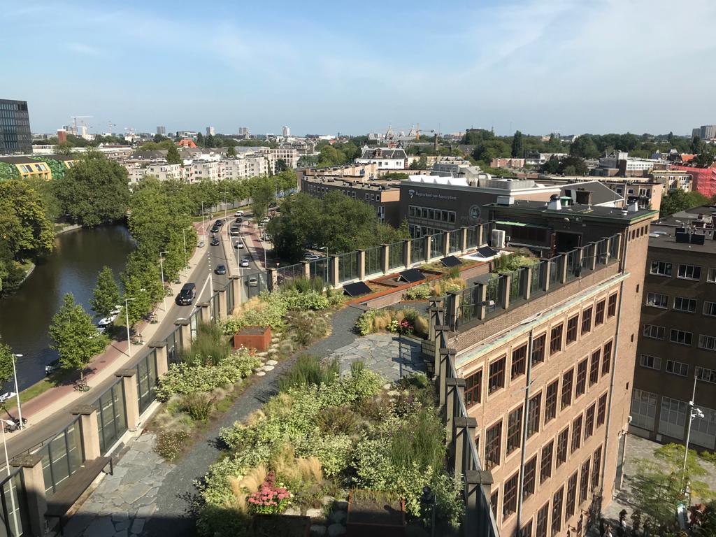 Groen schild tegen stedelijke verhitting