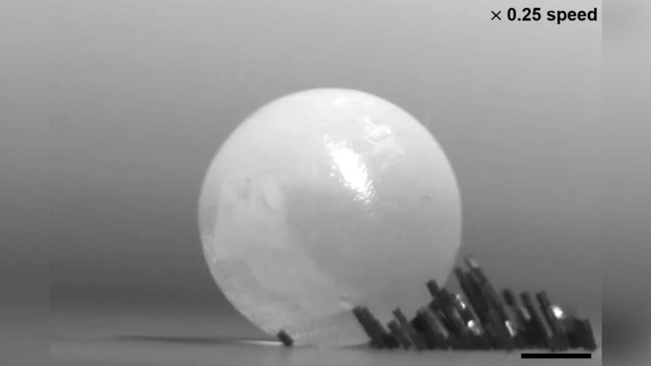 MicroRobot Swarms That Lift Heavy Objects & Can Move in Blood Vessels:made by South Korea